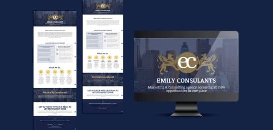 Emily Consultants — Landing-page project by WebGuru